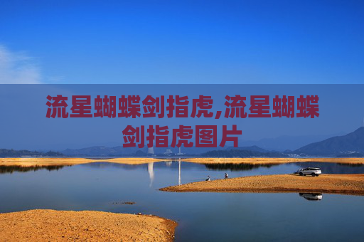 流星蝴蝶剑指虎,流星蝴蝶剑指虎图片
