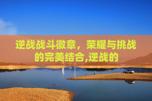 逆战战斗徽章，荣耀与挑战的完美结合,逆战的