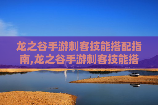 龙之谷手游刺客技能搭配指南,龙之谷手游刺客技能搭配图