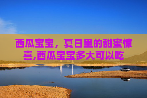 西瓜宝宝，夏日里的甜蜜惊喜,西瓜宝宝多大可以吃