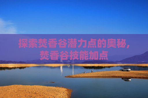 探索焚香谷潜力点的奥秘,焚香谷技能加点