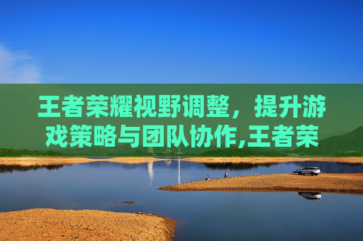 王者荣耀视野调整，提升游戏策略与团队协作,王者荣耀 视野调整怎么调