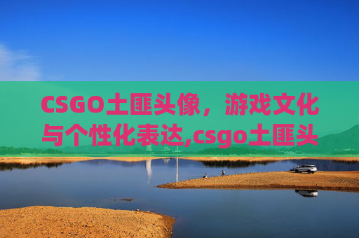 CSGO土匪头像，游戏文化与个性化表达,csgo土匪头像