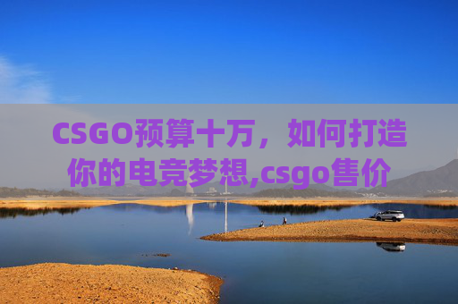 CSGO预算十万，如何打造你的电竞梦想,csgo售价