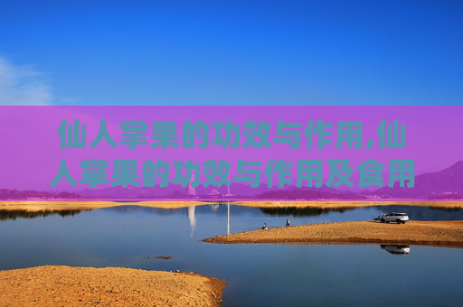 仙人掌果的功效与作用,仙人掌果的功效与作用及食用方法