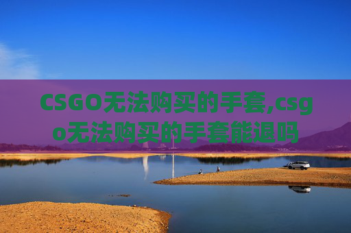 CSGO无法购买的手套,csgo无法购买的手套能退吗