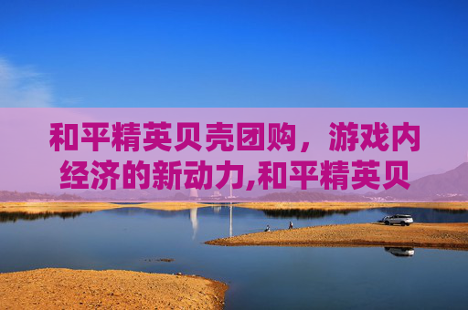 和平精英贝壳团购，游戏内经济的新动力,和平精英贝贝