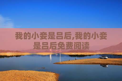 我的小妾是吕后,我的小妾是吕后免费阅读