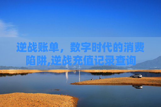逆战账单，数字时代的消费陷阱,逆战充值记录查询