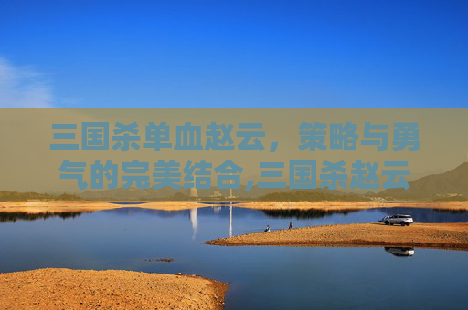 三国杀单血赵云，策略与勇气的完美结合,三国杀赵云技能详解