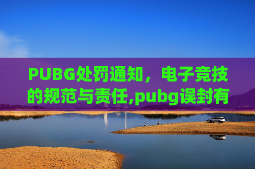 PUBG处罚通知，电子竞技的规范与责任,pubg误封有补偿吗