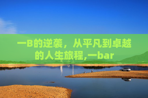 一B的逆袭，从平凡到卓越的人生旅程,一bar
