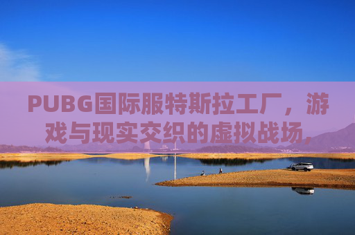 PUBG国际服特斯拉工厂，游戏与现实交织的虚拟战场,PUBG model国际
