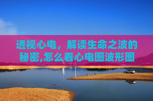 透视心电，解读生命之波的秘密,怎么看心电图波形图