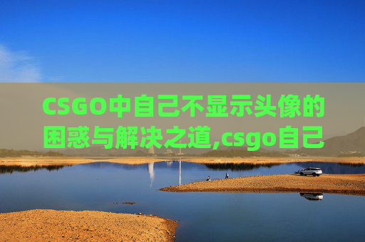 CSGO中自己不显示头像的困惑与解决之道,csgo自己不显示头像怎么回事