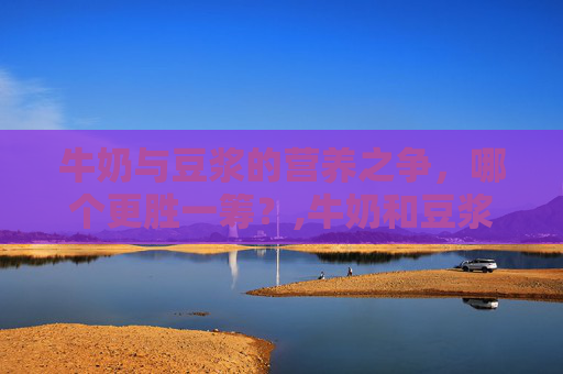牛奶与豆浆的营养之争，哪个更胜一筹？,牛奶和豆浆哪个营养价值高,减肥期间喝哪个更好?