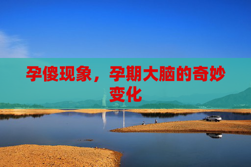 孕傻现象，孕期大脑的奇妙变化