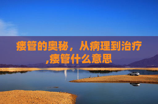 瘘管的奥秘，从病理到治疗,瘘管什么意思