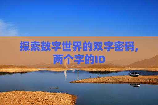 探索数字世界的双字密码,两个字的ID