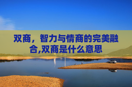 双商，智力与情商的完美融合,双商是什么意思
