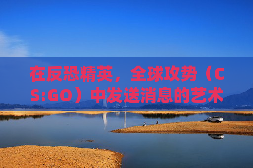 在反恐精英，全球攻势（CS:GO）中发送消息的艺术,csgo如何发消息