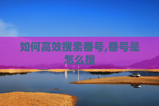 如何高效搜索番号,番号是怎么搜