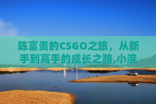 陈富贵的CSGO之旅，从新手到高手的成长之路,小浣熊陈富贵