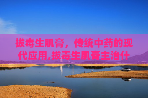 拔毒生肌膏，传统中药的现代应用,拔毒生肌膏主治什么