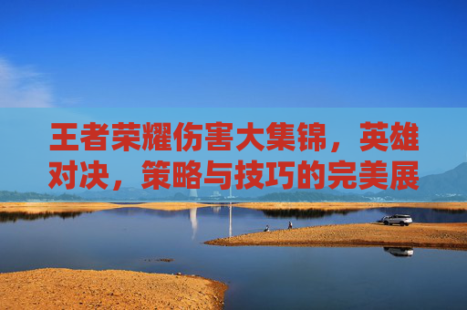 王者荣耀伤害大集锦，英雄对决，策略与技巧的完美展现,王者荣耀各种伤害定义