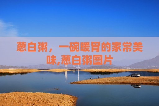 葱白粥，一碗暖胃的家常美味,葱白粥图片