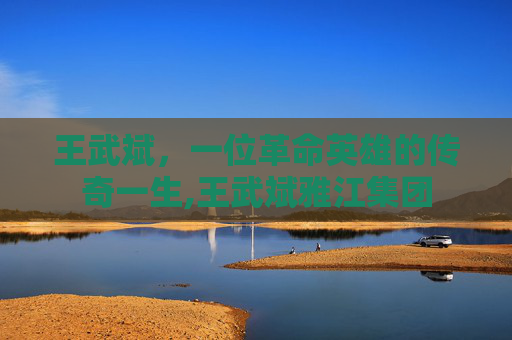 王武斌，一位革命英雄的传奇一生,王武斌雅江集团