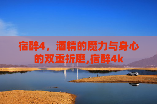 宿醉4，酒精的魔力与身心的双重折磨,宿醉4k