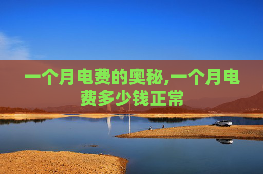 一个月电费的奥秘,一个月电费多少钱正常