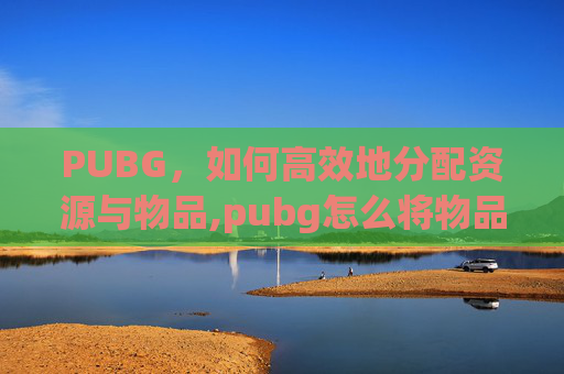 PUBG，如何高效地分配资源与物品,pubg怎么将物品分开