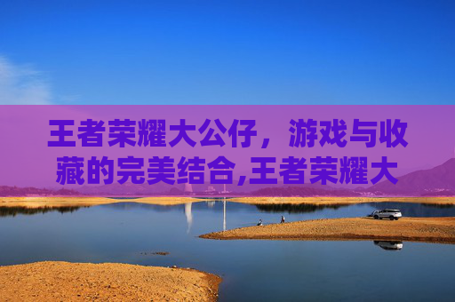 王者荣耀大公仔，游戏与收藏的完美结合,王者荣耀大公仔多少钱