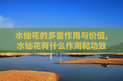 水仙花的多重作用与价值,水仙花有什么作用和功效