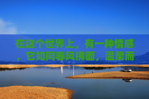 在这个世界上，有一种情感，它如同春风拂面，温柔而细腻，它能够穿透心灵的冰层，唤醒沉睡的温暖。这种情感，就是爱。而爱，不仅仅是一种情感，更是一种力量，一种能够改变世界的力量。,有爱的人是什么样的