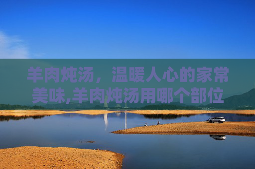 羊肉炖汤，温暖人心的家常美味,羊肉炖汤用哪个部位