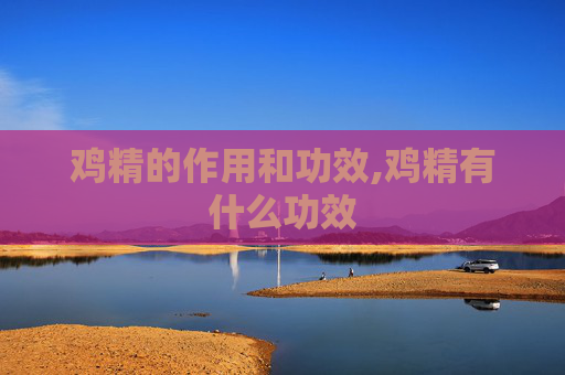 鸡精的作用和功效,鸡精有什么功效