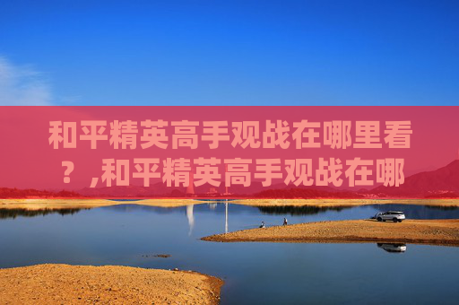和平精英高手观战在哪里看？,和平精英高手观战在哪里看到