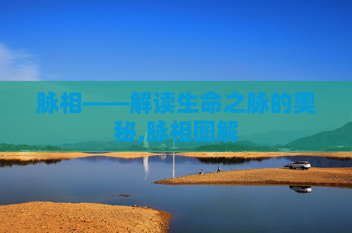 脉相——解读生命之脉的奥秘,脉相图解