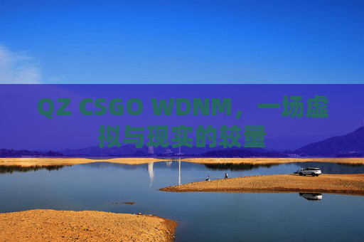 QZ CSGO WDNM，一场虚拟与现实的较量