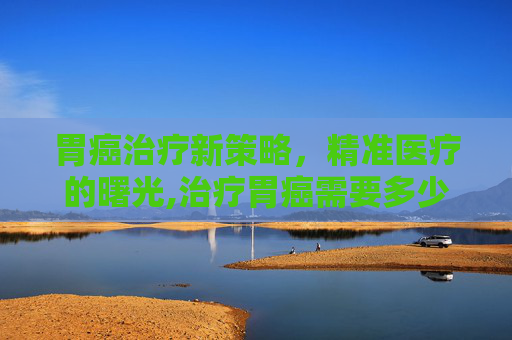 胃癌治疗新策略，精准医疗的曙光,治疗胃癌需要多少钱