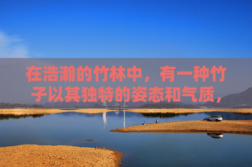 在浩瀚的竹林中，有一种竹子以其独特的姿态和气质，成为了大自然中的一道亮丽风景线。它就是冷竹，一种生长在寒冷地区的珍稀植物。今天，我们就来探索一下这种神奇的竹子，感受它的独特魅力。,CF冷竹个人信息
