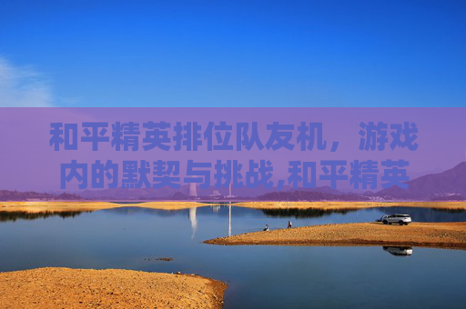 和平精英排位队友机，游戏内的默契与挑战,和平精英排位队友机制怎么开