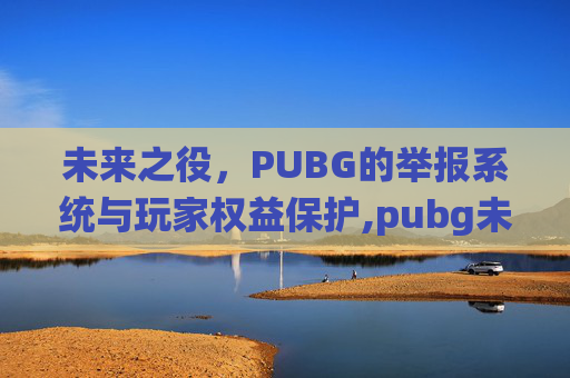 未来之役，PUBG的举报系统与玩家权益保护,pubg未来之役测试地区
