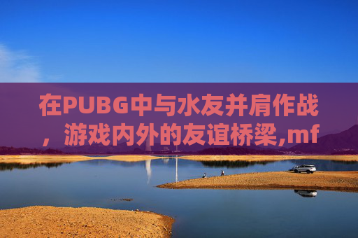 在PUBG中与水友并肩作战，游戏内外的友谊桥梁,mft弹簧评测