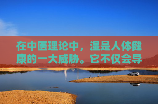 在中医理论中，湿是人体健康的一大威胁。它不仅会导致身体不适，还可能引发各种疾病。因此，如何祛湿成为了许多人关注的话题。本文将为您介绍几种有效的祛湿方法，帮助您摆脱湿气的困扰。,怎样祛湿气效果最好