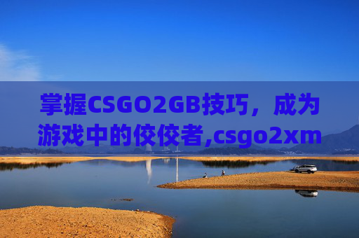 掌握CSGO2GB技巧，成为游戏中的佼佼者,csgo2xmsaa