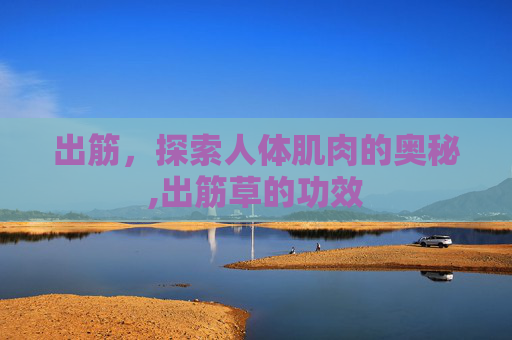 出筋,探索人体肌肉的奥秘,出筋草的功效 出筋,探索人体肌肉的奥秘,出筋草的功效